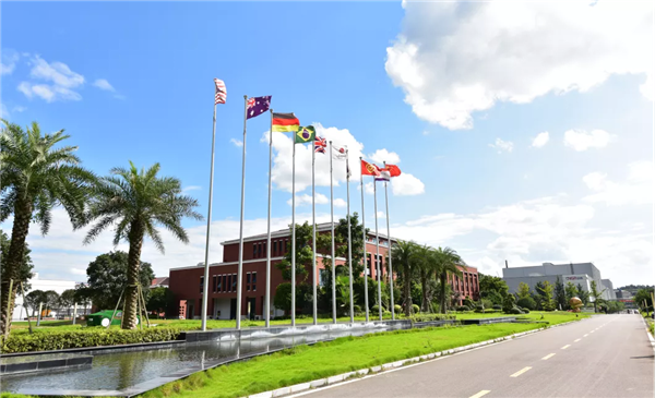 pg国际-不凡成就非凡,相信品牌的力量