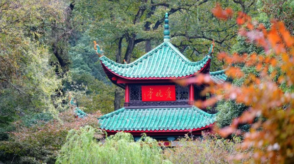 pg国际-不凡成就非凡,相信品牌的力量