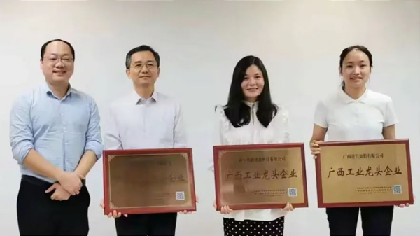 广西pg国际新能源科技有限公司荣膺 “广西工业龙头企业”