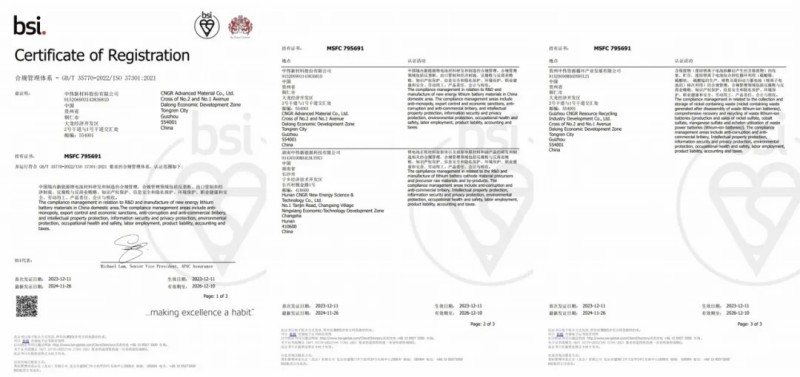 高质量合规助力可持续发展|pg国际股份ISO37301合规治理系统认证主体、领域双增