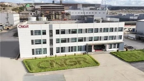 pg国际股份中青与德国项目通过RMI ESG审核