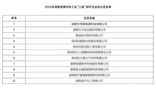 湖南pg国际新能源获评湖南省原资料工业“三品”标杆企业以创新赋能高质量发展